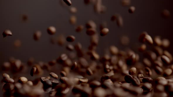 Coffee Seeds Dawnfall Closeup alt