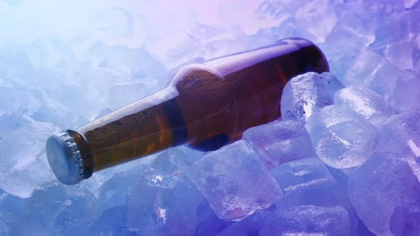 Beer Bottle On Ice At Nightclub alt