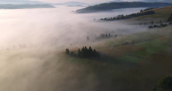 Fog In The Mountains Covers The Entire Surface. Carpathians