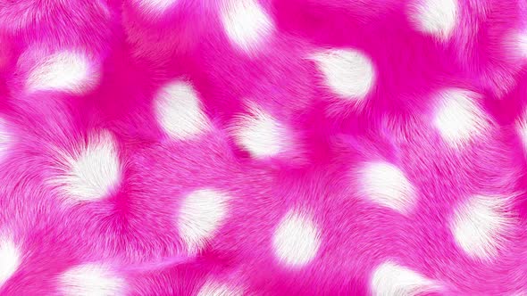 Faux Fur White Polka Dots On Pink Background 4K