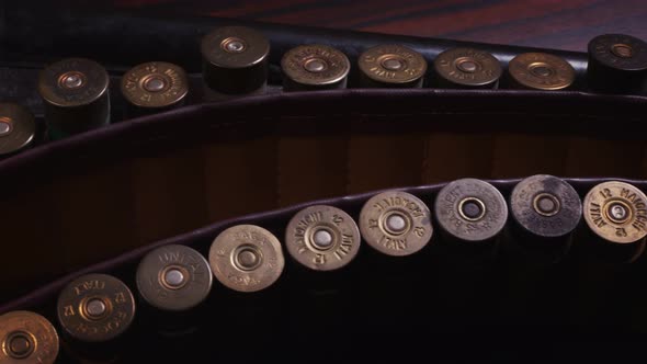 Old Style Rifles And Bullets 7 alt