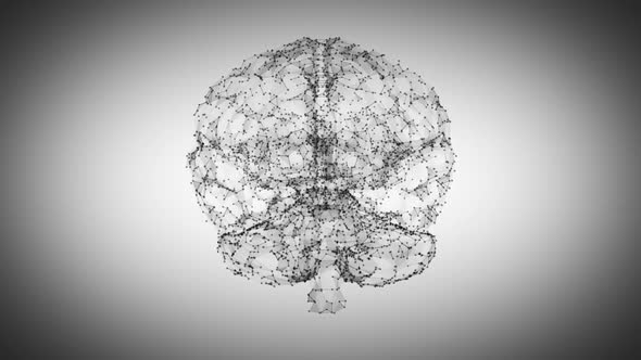 Polygonal Brains Rotation  alt