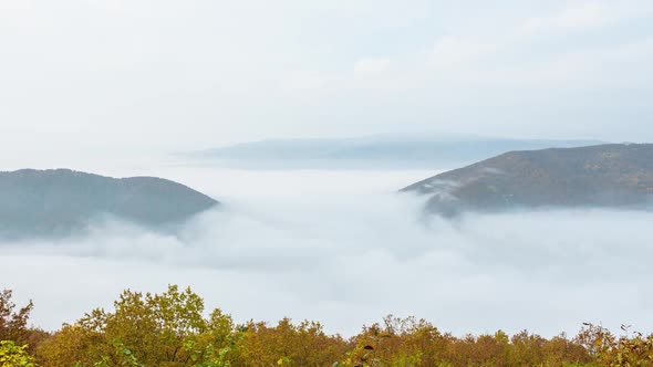 Timelapse of the movement of fog in the mountain gorge. Beautiful mountain scenery alt