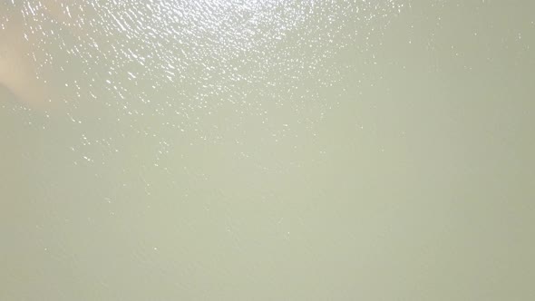 Cenital shoot of a freshwater river with a flying bird alt