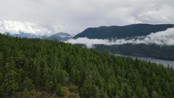 The Manzanita hut nestled into the the side of a lush forest mountain on the Sunshine Coast Trail in alt