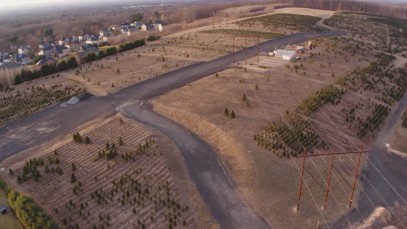 Aerial Drone Shot of Suburban Neighborhood Adjacent to Large Christmas Tree Farm