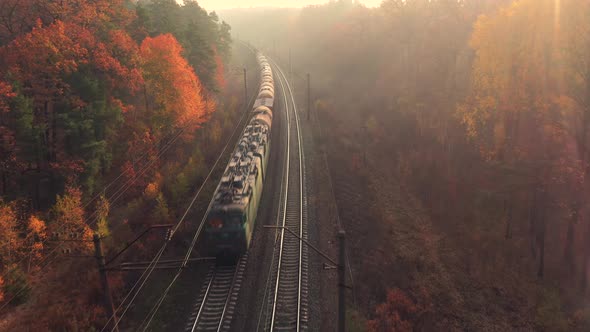 Freight Train in Beautiful Forest in Fog at Sunrise in Autumn