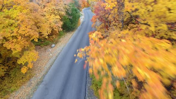 Flying over road through trees in Fall as truck drives around corner alt