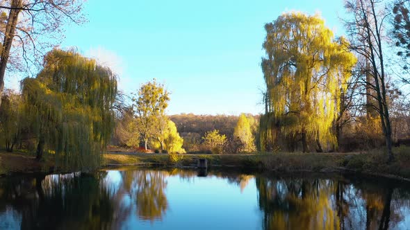Willows on the Lake