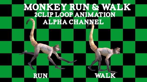 Monkey Run Walk 2 Clip Loop