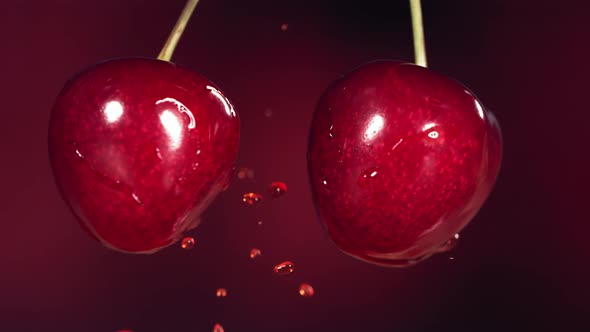 Sweet Cherries on Stems Colliding and Splashing Juice Droplets in Slow Motion alt