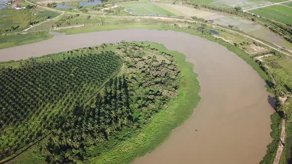 Aerial view over oil palm plantation alt