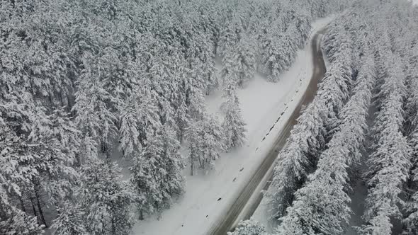 Aerial drone view of snow-covered coniferous forest and a desert road high in the mountains