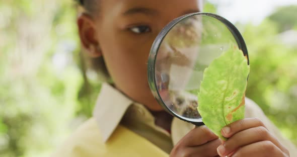 Animation of african american girl in scout costume using magnifier, looking at leaf alt