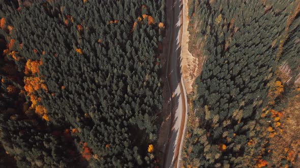 Aerial Top Down View Newly Made Asphalt Road Between Hills Green and Orange Woods alt