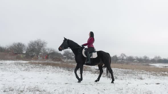 Young Brunette Woman Rides a Beautiful Black Horse on a Field or Snowcovered Farm in Winter alt