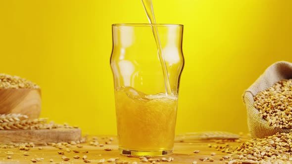 Foamy Beer in Glass Closeup alt
