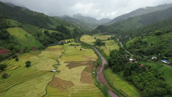 Aerial view of paddy field or rice terrace and the river in valley, Nan, Thailand by drone