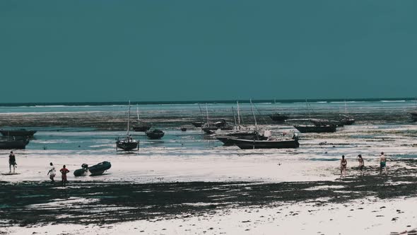 Lot of Wooden African Fishing Boat Stranded in Sand on Beach Low Tide Zanzibar alt