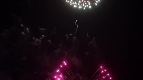 Colorful Firework display at night on sky background alt