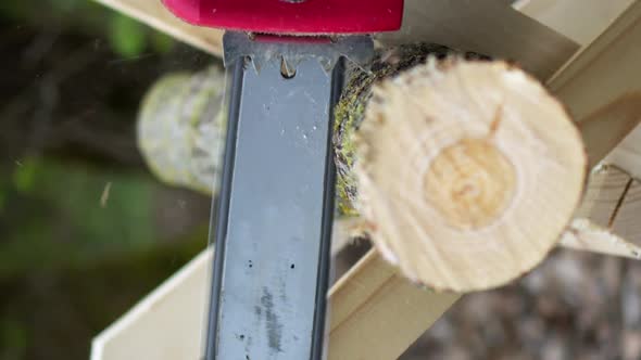 Vertical Shot Lumberjack in Gloves Saws Firewood on Sawhorses with a Electric Saw in Forest