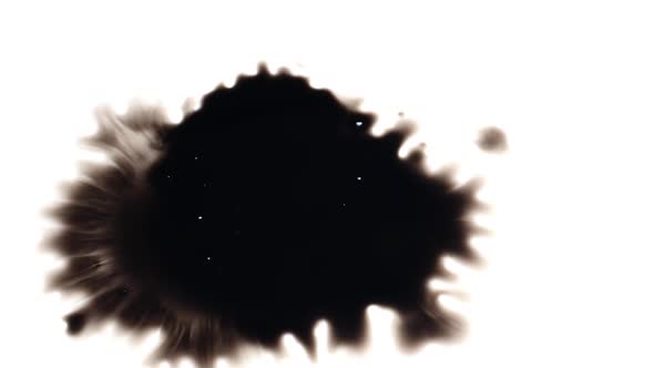 Drops of ink blot spreading on white background, Ink blot pattern