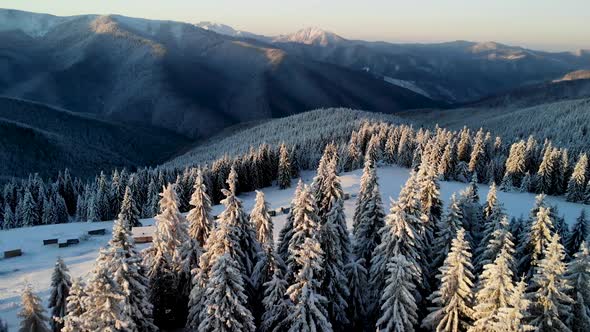 Drone Aerial Fly Above Winter Forest Unveiling Mountain Valley