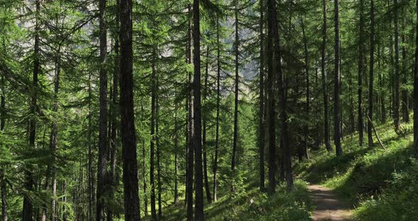 The Crévoux valley, Embrun, Hautes Alpes department, France alt
