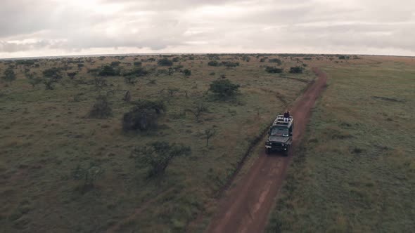 Woman sitting on top of vehicle while driving on wildlife safari holiday adventure in Kenya. Aerial  alt