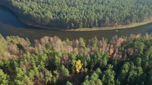 AERIAL: River Neris Flows in a Forest Creek on a Sunny Autumn Day