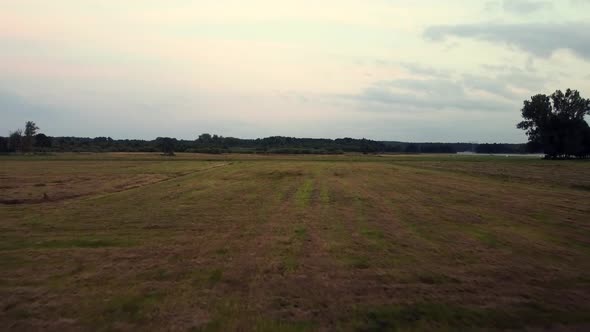 Perfect aerial flight sloly fly forwards drone shot over farmland fallow summer morningin nature re alt