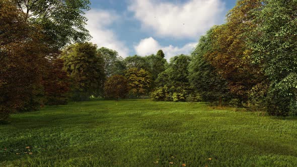 Green grass field HD alt