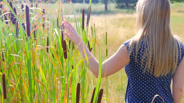 Female Walking Beside Tall Grass And Touching With Her Hand Bulrush3