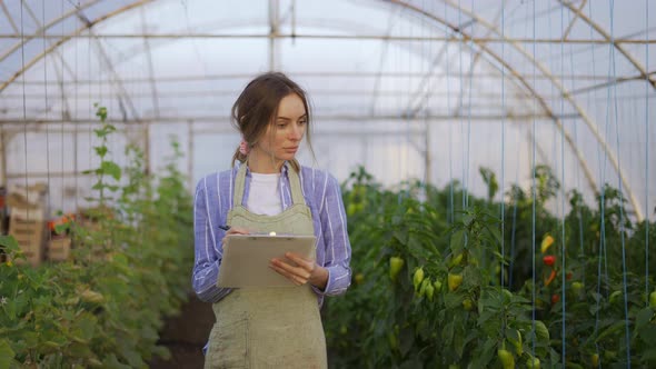 Portrait of Young Woman Farmer in Indoor Greenhouse Accounting Using Tablet alt