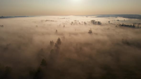 Epic aerial view of sunrise fog covering field with trees. alt