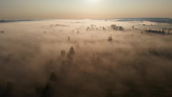 Epic aerial view of sunrise fog covering field with trees.