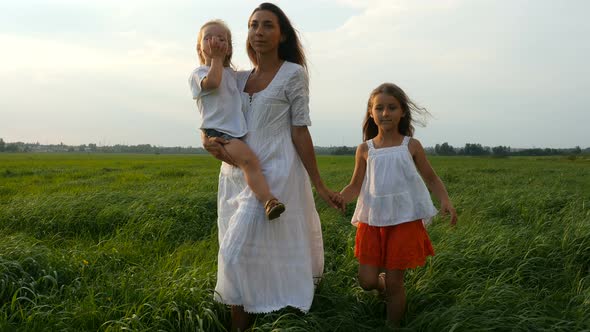 Mom With Children Walking On Green Fields, Mother and Her Little Daughters Walk Summer Evening