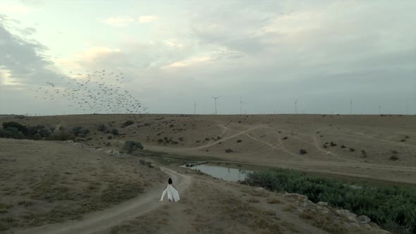 Bride Walk Over Flock of Starlings Flying in Morning Sunrise Near Windmill Far Windmill Generator alt