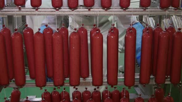 Fresh Sausages, Salami alt