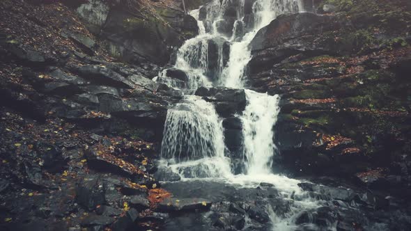 Rocky Mountain Stream Surface Autumn Wood Sight alt