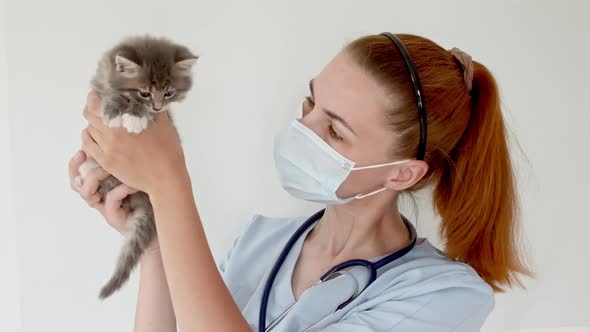 Girl Veterinarian Holds in the Hands of a Little Kitten alt
