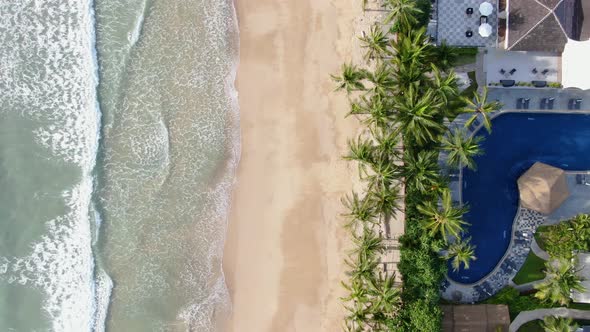 Top view island beach and palms Caribbean sea and white sand