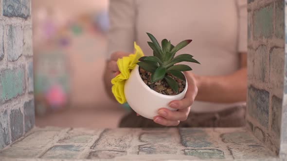 a Girl Takes Care of a Flower alt