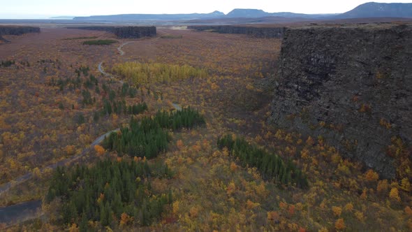 Asbyrgi Canyon Drone View on Autumn Iceland