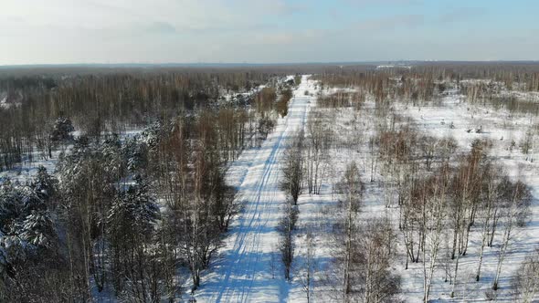 Aerial Shot Flying Over Winter Snow Woods Video