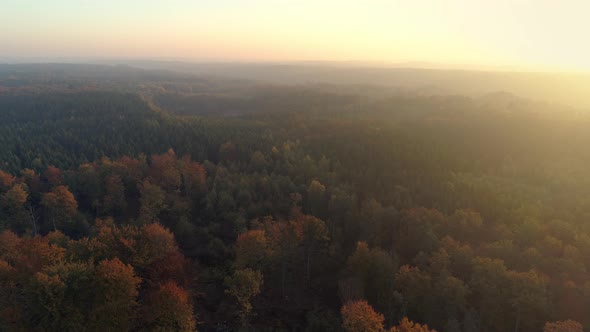 Aerial View of Beautiful Sunrise Over Misty Autumn Forest in Southern Sweden