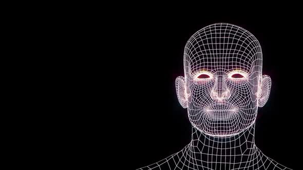 Grid Human Head Speaking