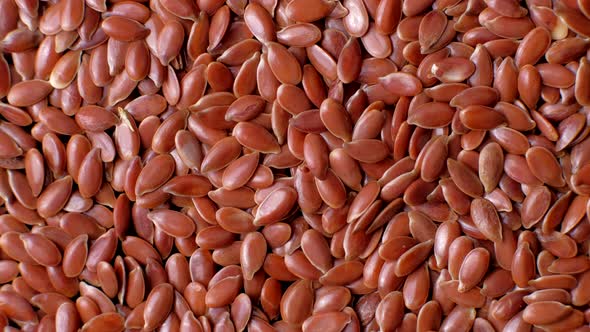  A Pile of Flax Seeds Rotates 360. alt