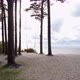 Swings At Seaside - VideoHive Item for Sale