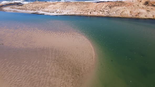 Migratory flock of Caspian Terns at beautiful Olifants River Estuary; aerial alt